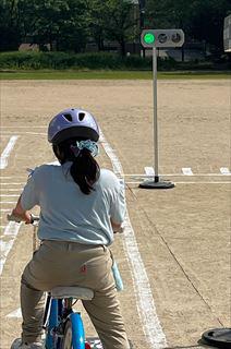 IMG_4558_R.JPG