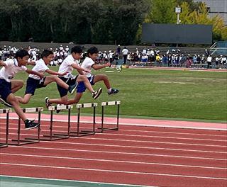 IMG_4743_R.JPG