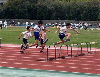 IMG_4747_R.JPG