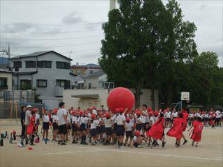 DSCF1051　大玉_R.JPG
