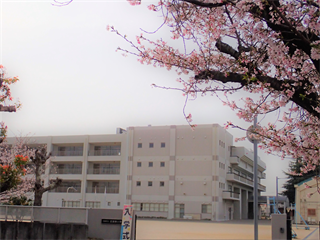 P4086440_R.PNG