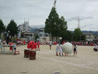 DSCF1046　大玉_R.JPG