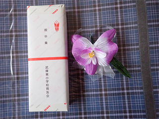P3196158_R.PNG