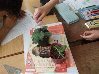 DSCF0806理科観察_R.JPG