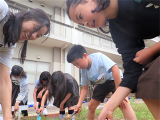 P5297583_R.PNG