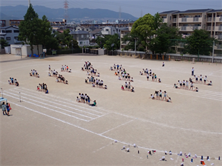 P5241717_R.PNG