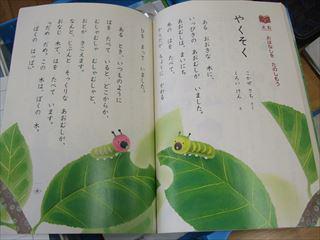 DSCF2261_R.JPG