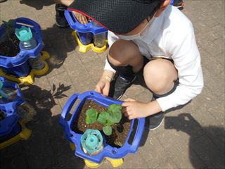 DSCN9360_R.JPG