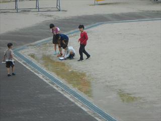 DSCN9612_R.JPG