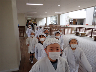 P3176095_R.PNG