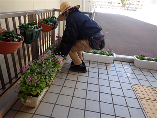 P3186154_R.PNG