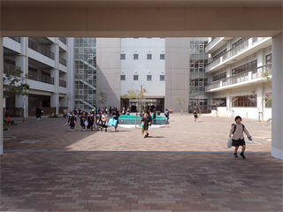 P3256337_R.PNG