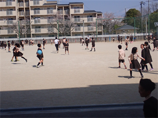 P4076422_R.PNG