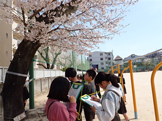 P4096455_R.PNG
