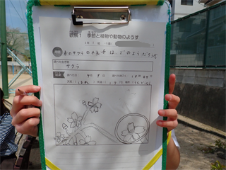 P4096459_R.PNG