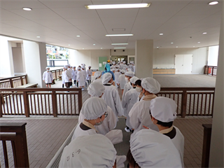 P4106483_R.PNG