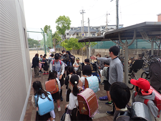 P4256909_R.PNG