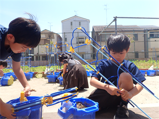 P5147257_R.PNG