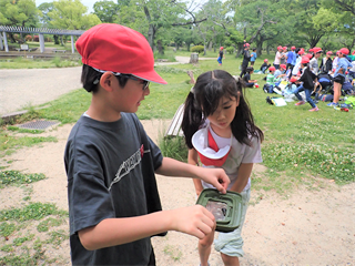 P5167337_R.PNG