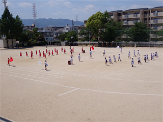 P5171504_R.PNG