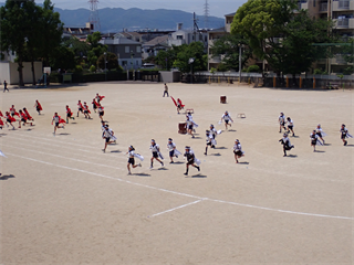 P5171508_R.PNG