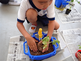 P5201528_R.PNG