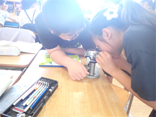 P5207354_R.PNG