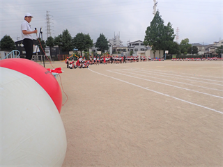 P5217362_R.PNG