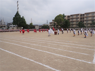 P5217366_R.PNG