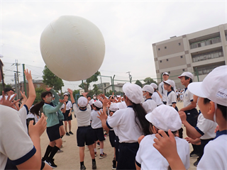 P5217383_R.PNG