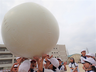 P5217384_R.PNG