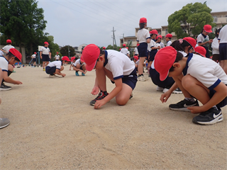 P5217390_R.PNG