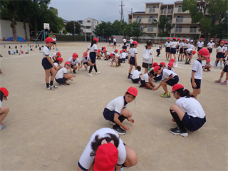 P5217392_R.PNG