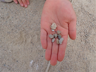 P5217394_R.PNG