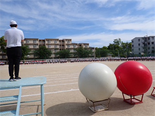 P5221584_R.PNG