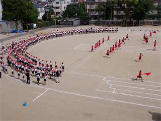 P5221601_R.PNG