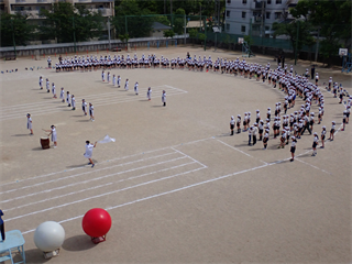 P5221606_R.PNG