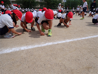 P5221616_R.PNG