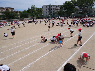 P5221624_R.PNG