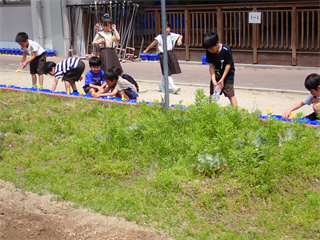 P5231639_R.PNG