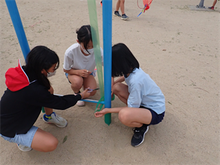 P5237445_R.PNG