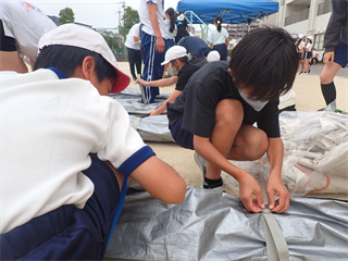 P5237452_R.PNG