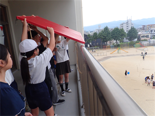 P5237482_R.PNG