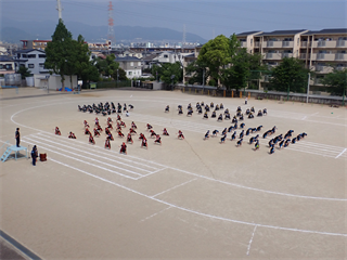 P5241648_R.PNG