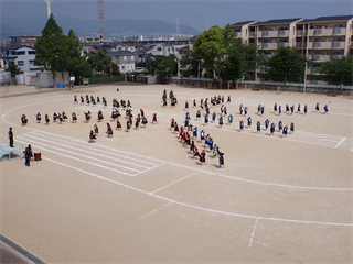 P5241652_R.PNG