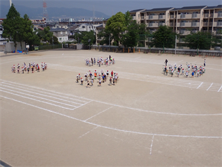P5241666_R.PNG