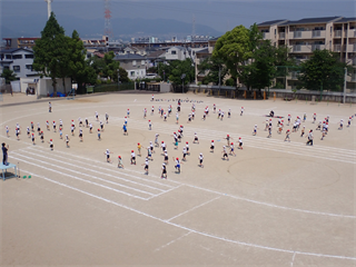 P5241673_R.PNG