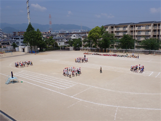 P5241696_R.PNG