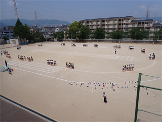 P5241721_R.PNG
