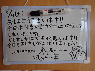 P5247532_R.PNG